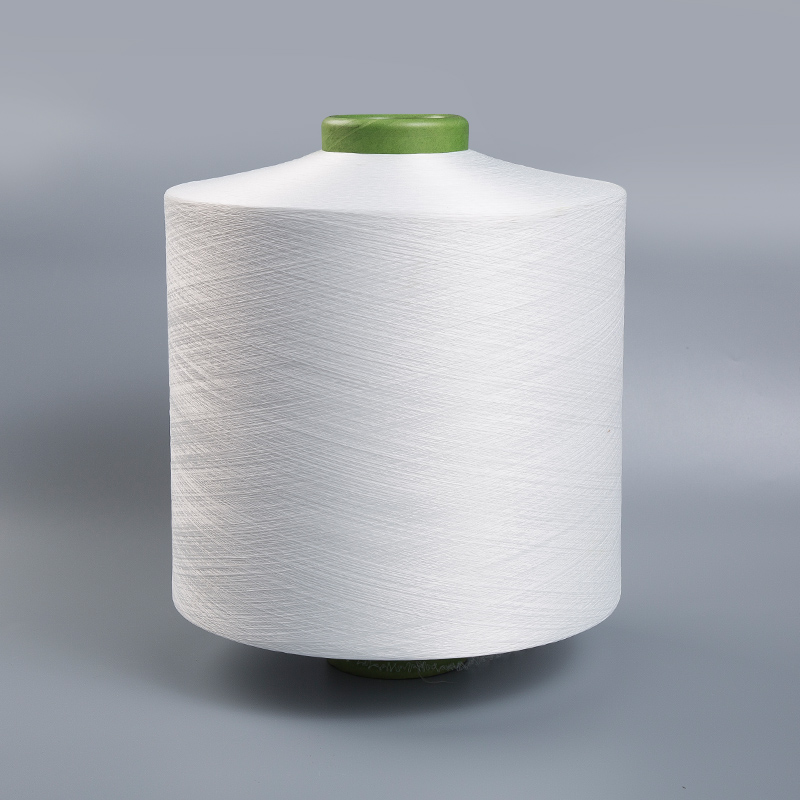 2030 Sợi nylon bọc khí cho ngành dệt