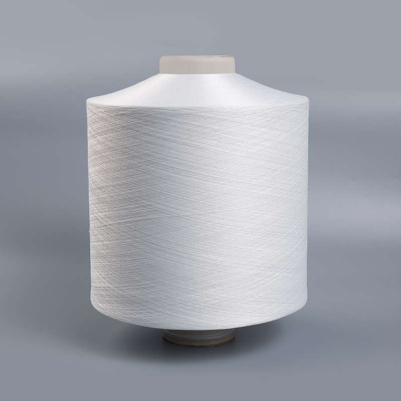 2030 Sợi nylon bọc khí cho ngành dệt